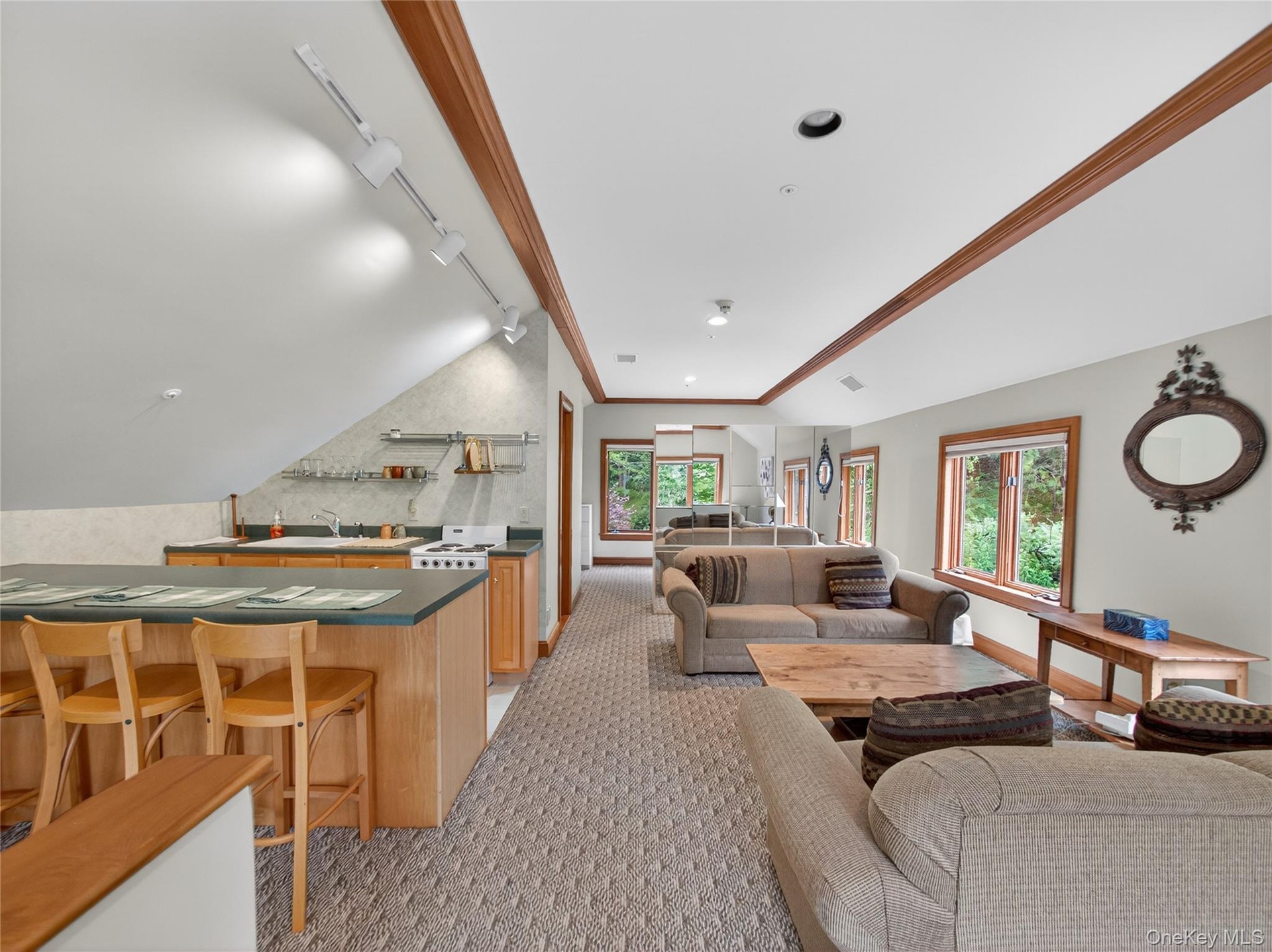 Living area with track lighting, light carpet, healthy amount of natural light, and bar