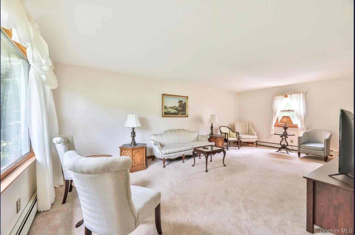 Living room with carpet floors, baseboard heating, and a baseboard radiator
