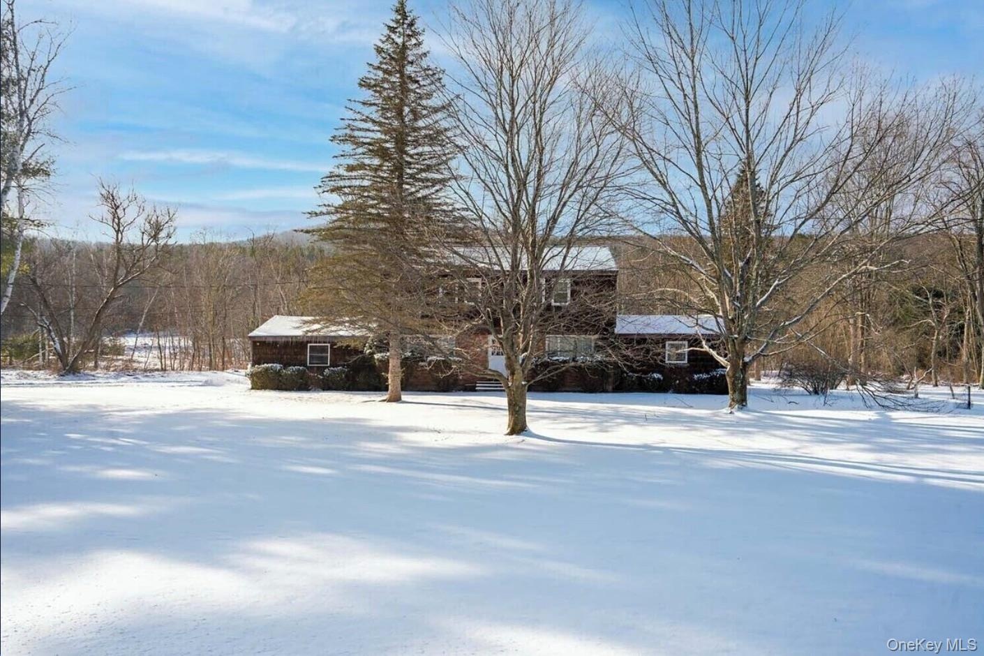 View of snowy yard