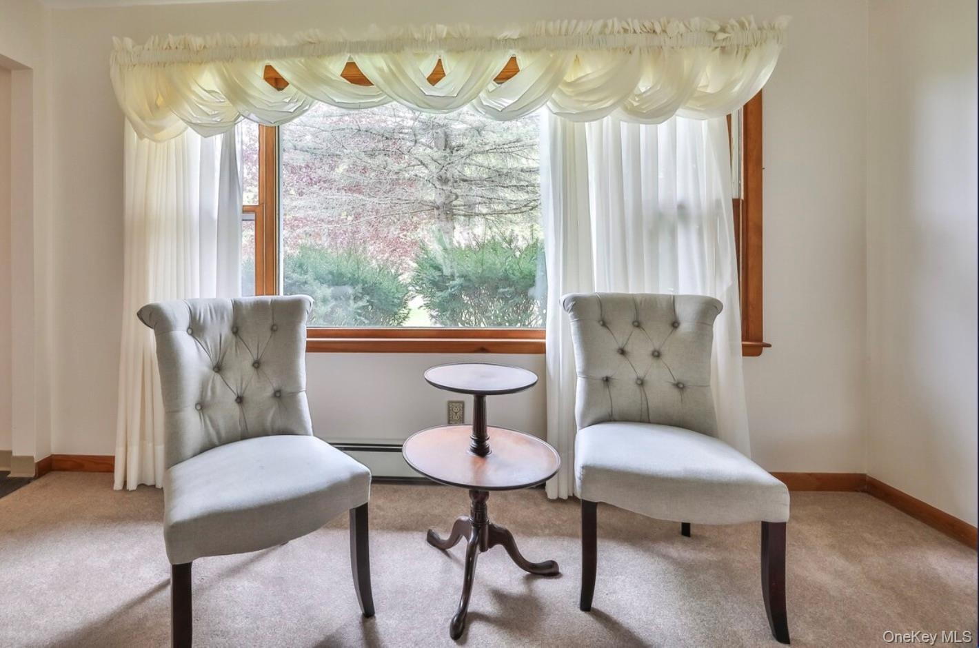 Sitting room featuring carpet floors and a baseboard radiator