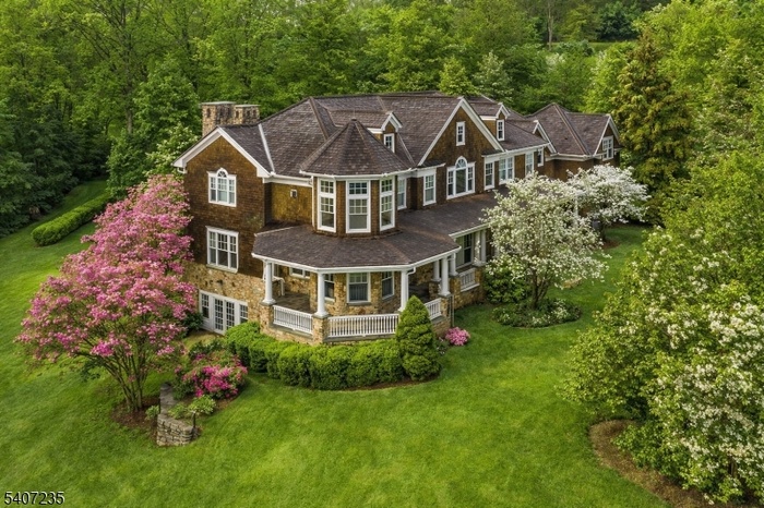 Aerial AI Enhanced Spring Shot