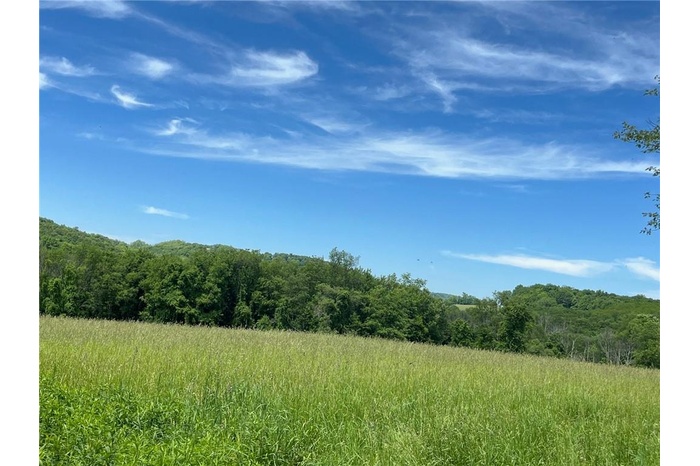 View of nature