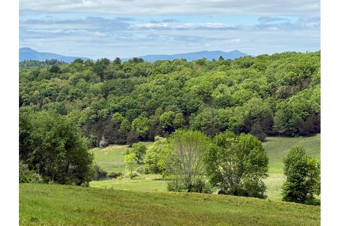 Mountain view with a heavily wooded area