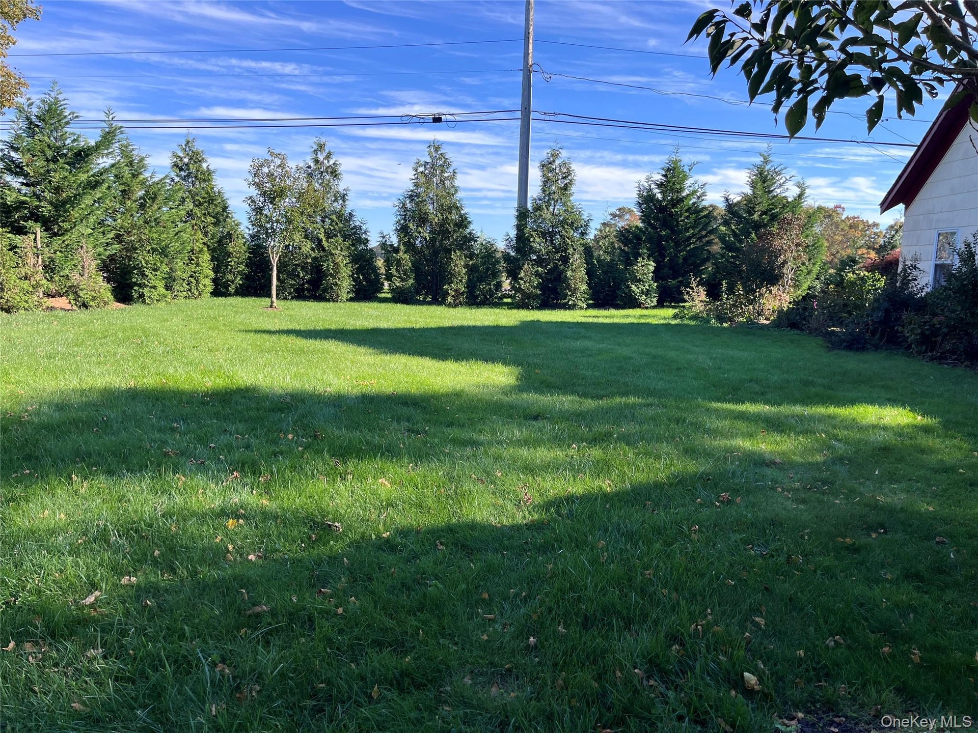 View of grassy yard facing County Rd. 48