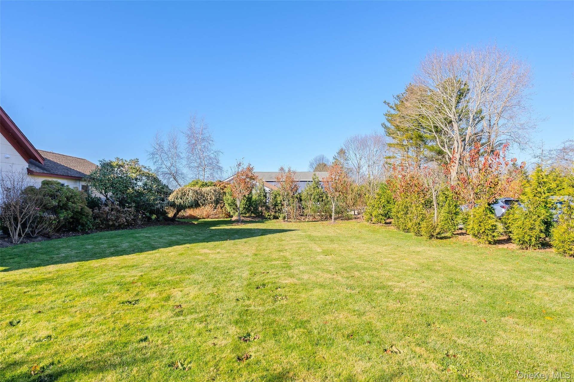 View of grassy yard