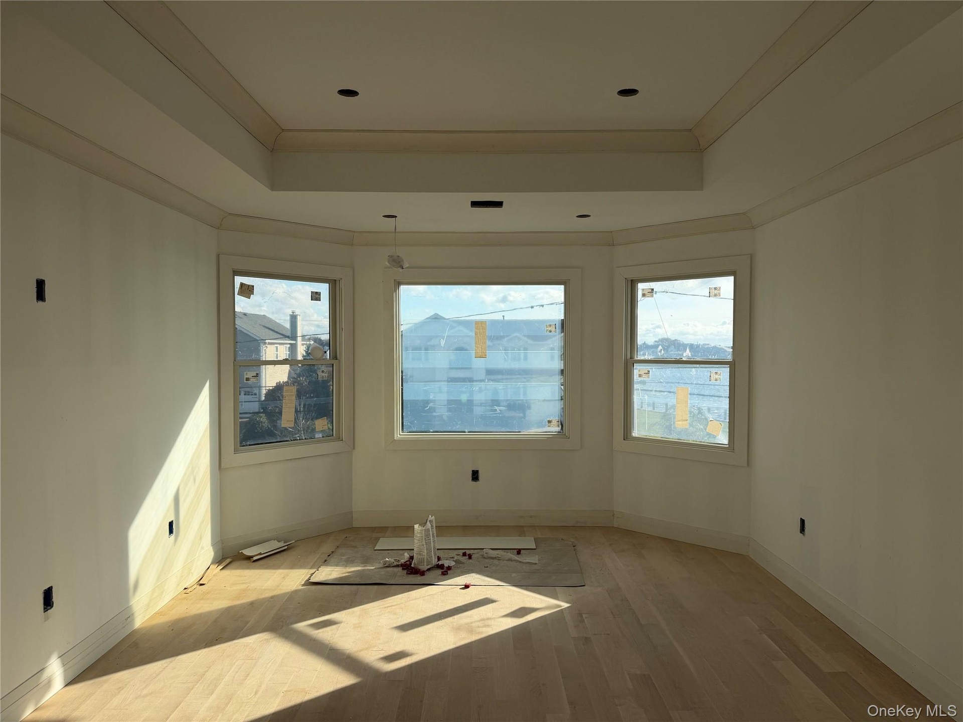 Spare room featuring a tray ceiling, wood finished floors, and ornamental molding