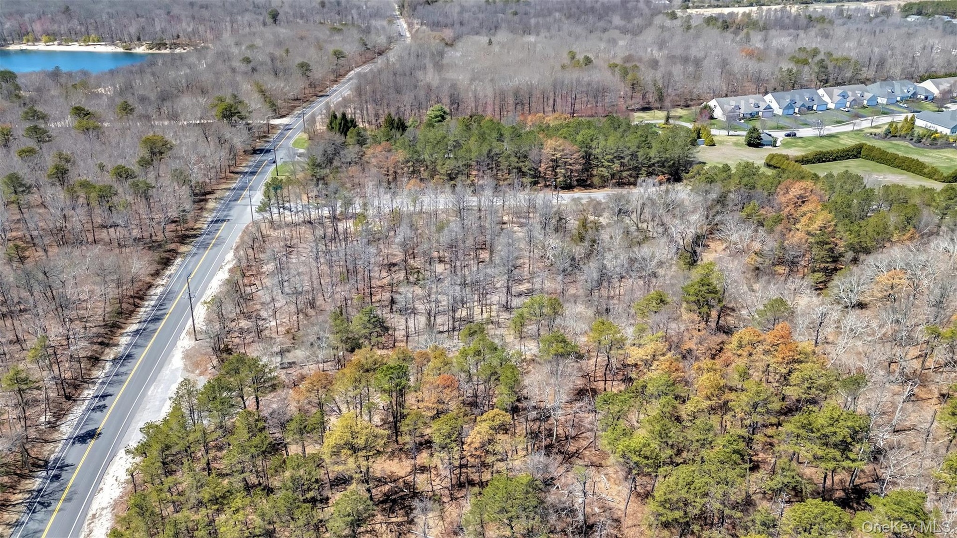 Bird's eye view with a forest view and a water view