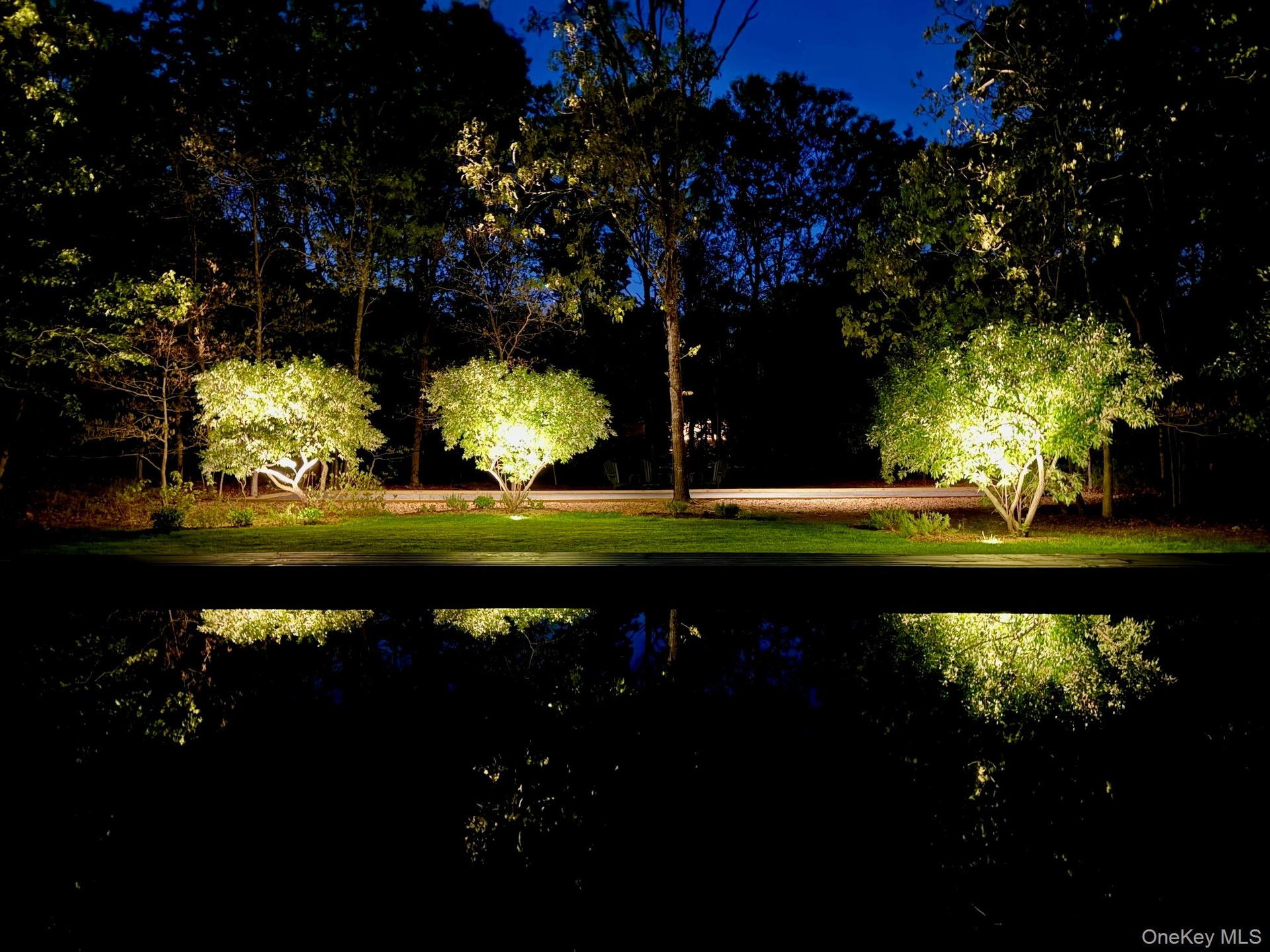 Yard at twilight featuring a yard