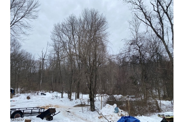 Wooded lot