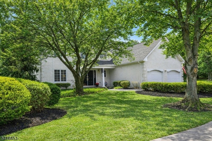 front summer virtual