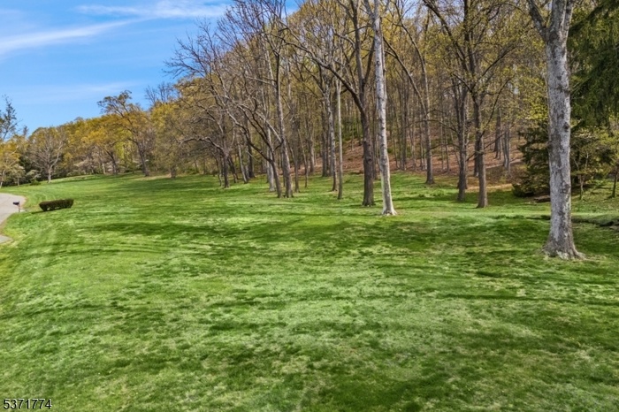 Beautiful Rolling Lawn