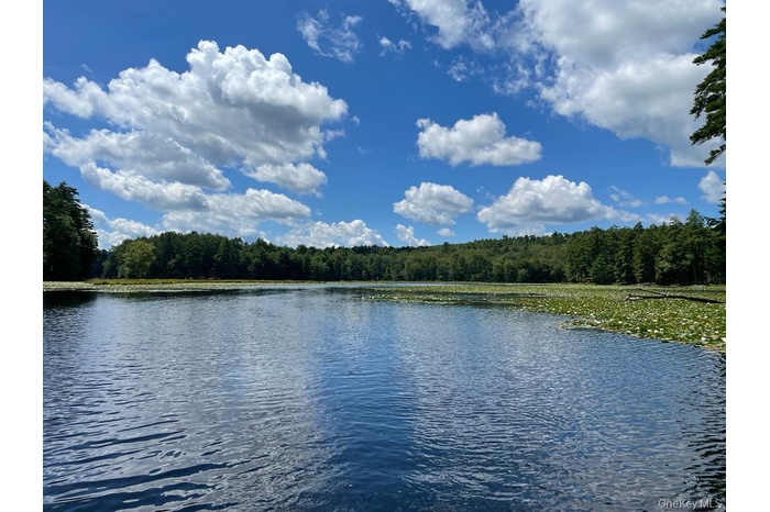Water view with a heavily wooded area