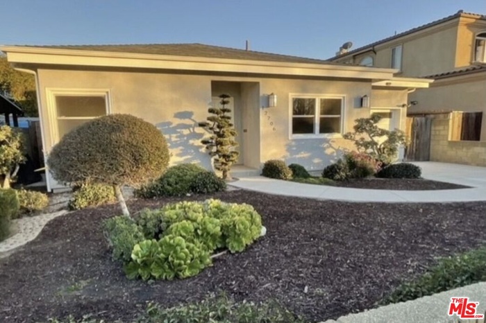 Front more pictures coming...