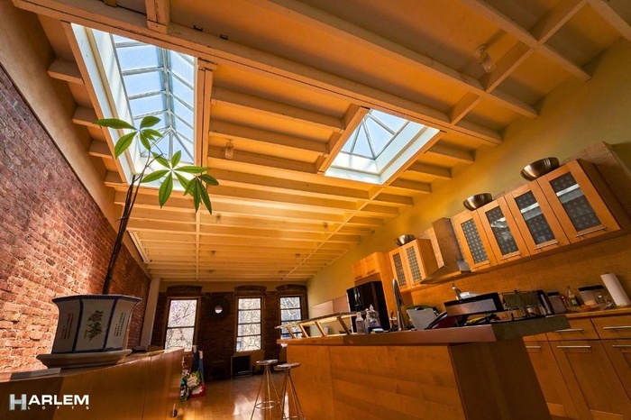 Duplex Loft Skylights