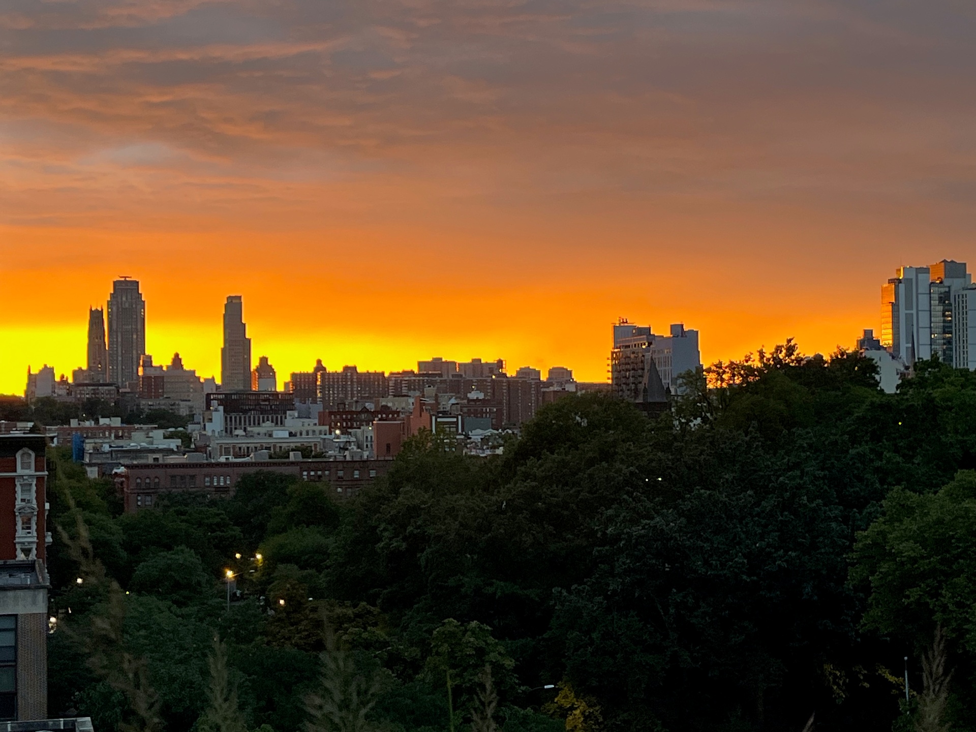 1831 Madison Avenue 9-D East Harlem New York NY 10035