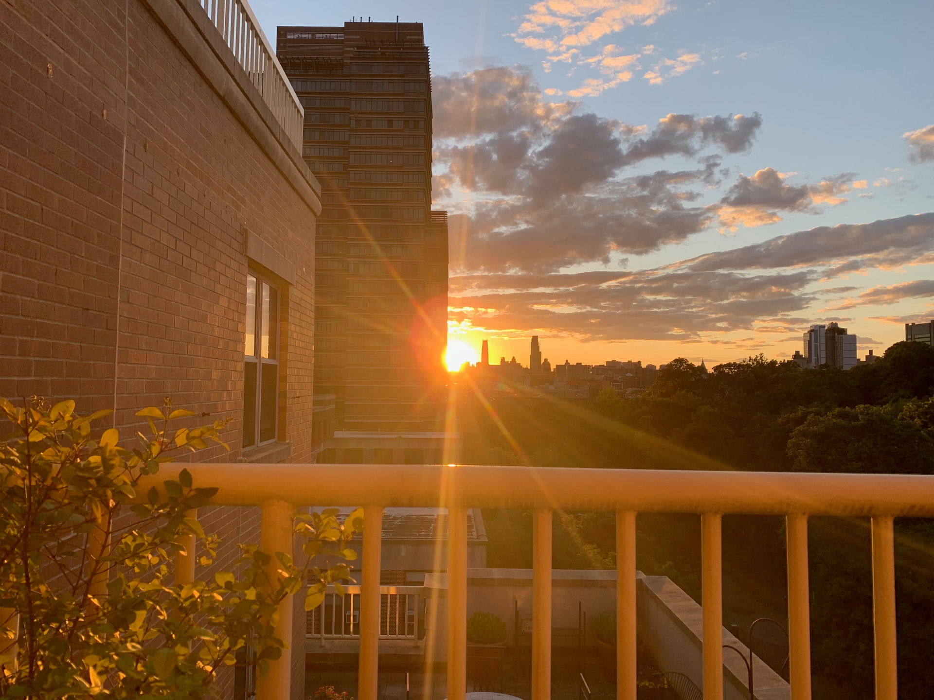 1831 Madison Avenue 9-D East Harlem New York NY 10035