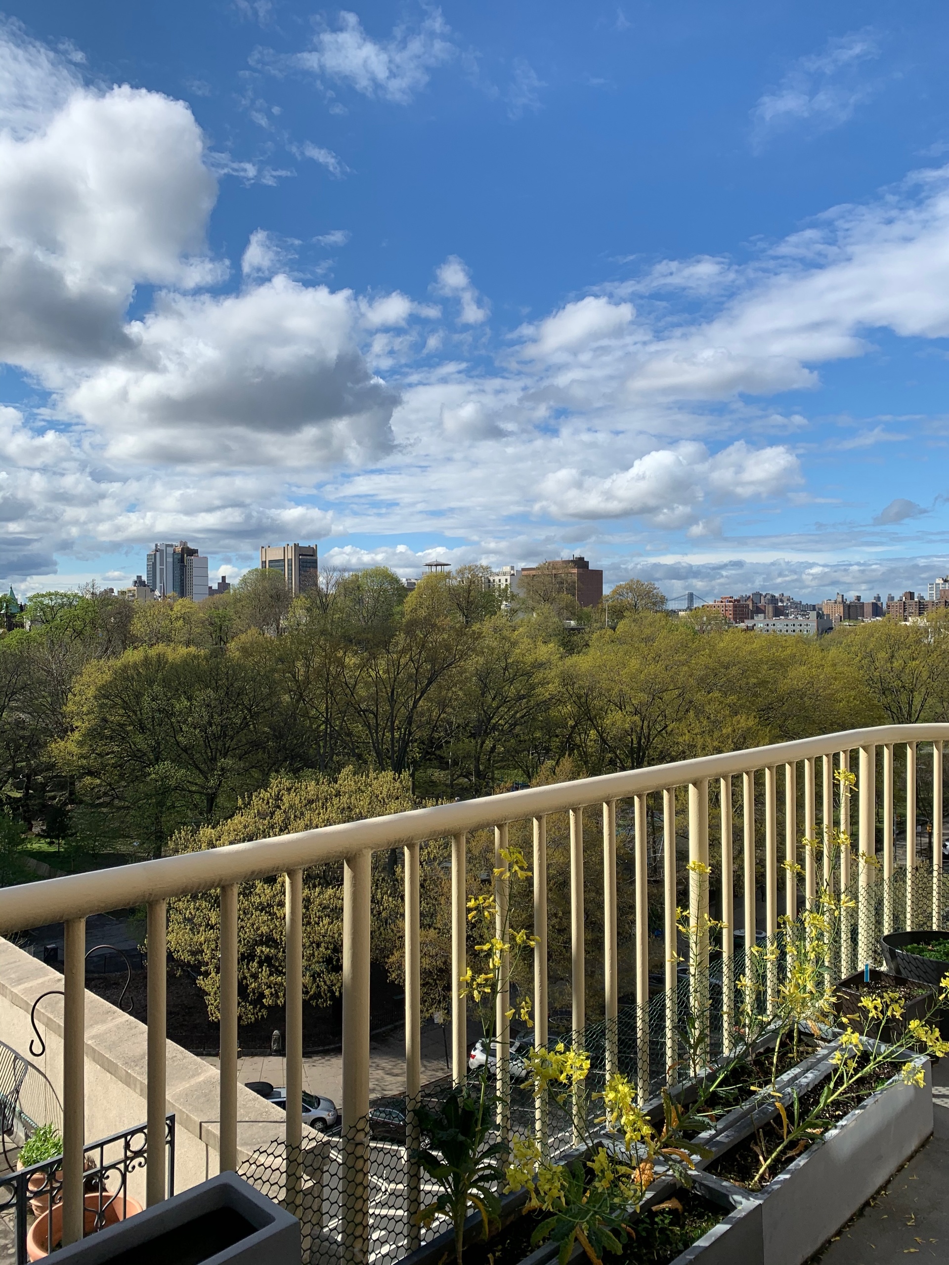 1831 Madison Avenue 9-D East Harlem New York NY 10035