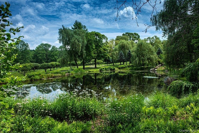View Linden Pond