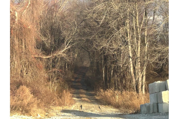 View of nature