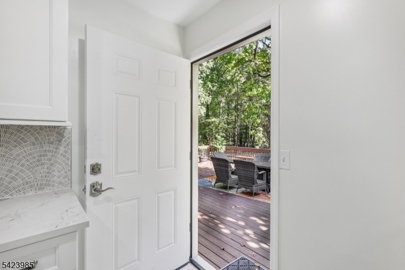 Kitchen Door to Deck