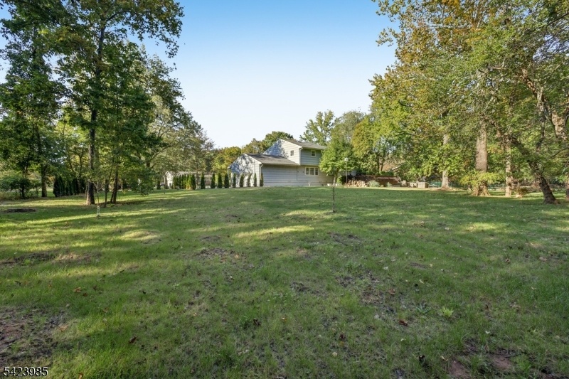 Backyard For Fun or Relaxing