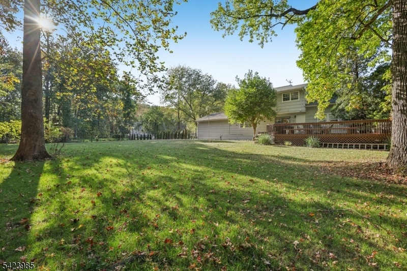 Expensive Shaded Backyard