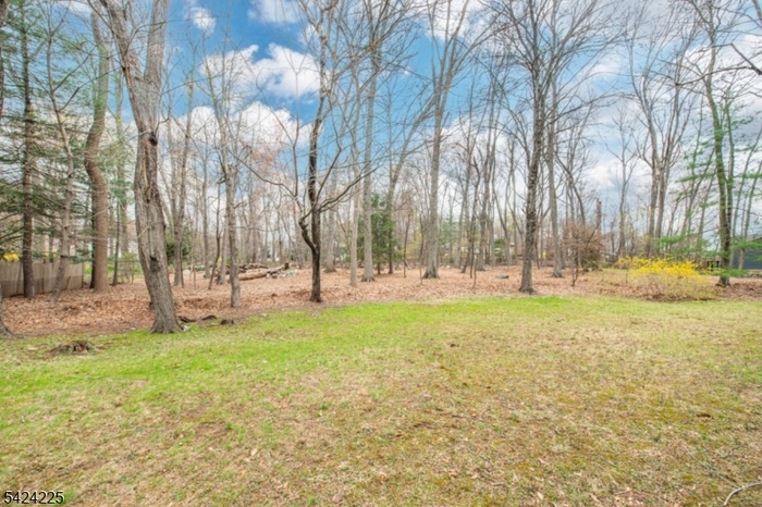 Over an acre of property!