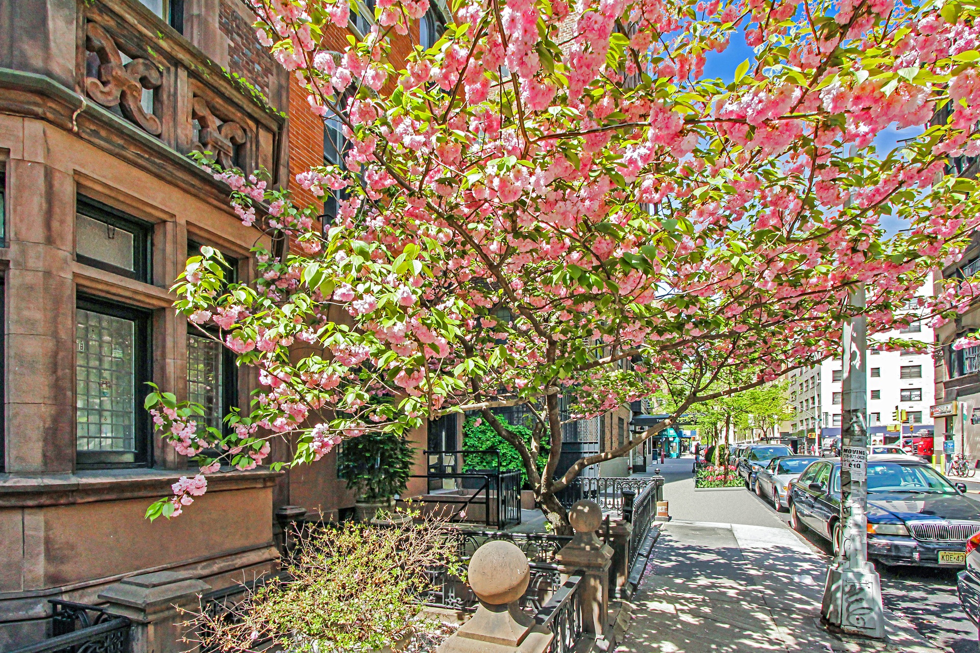 200 East 16th Street 4-B Gramercy Park New York NY 10003