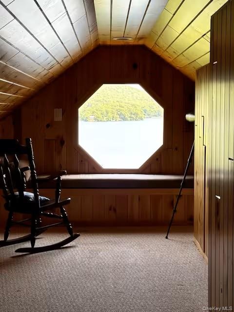 View of the lake from the Loft