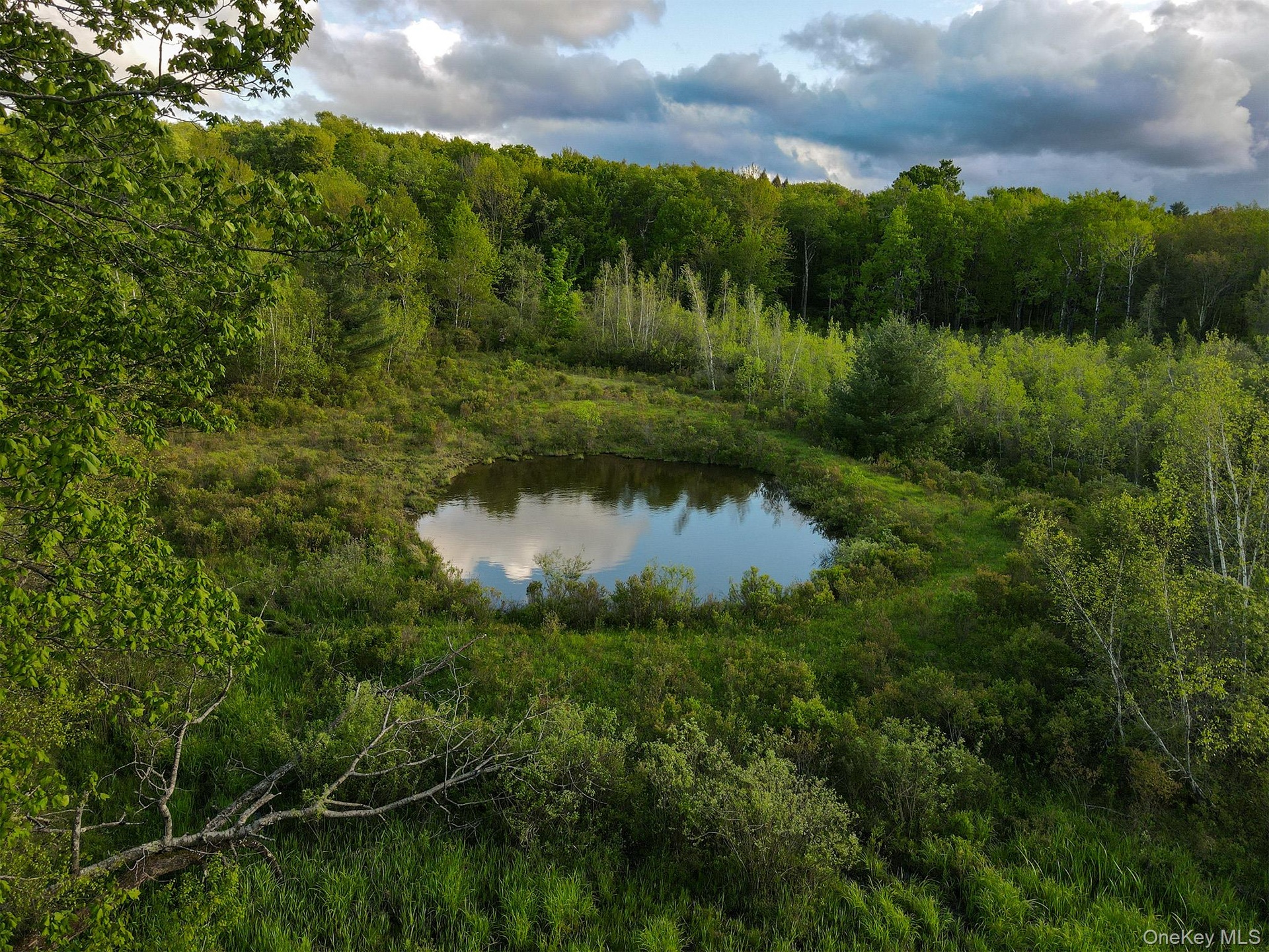 Aerial view of pond