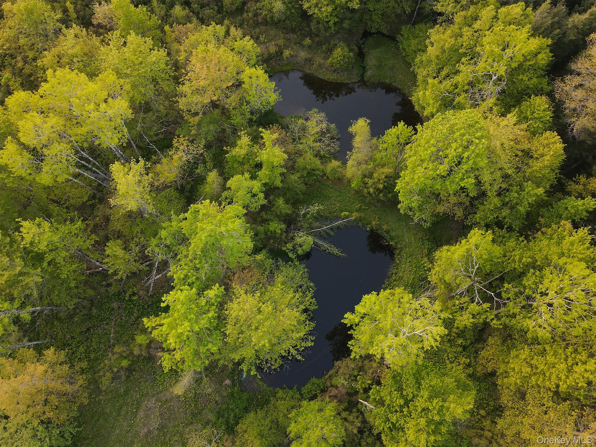 Two ponds