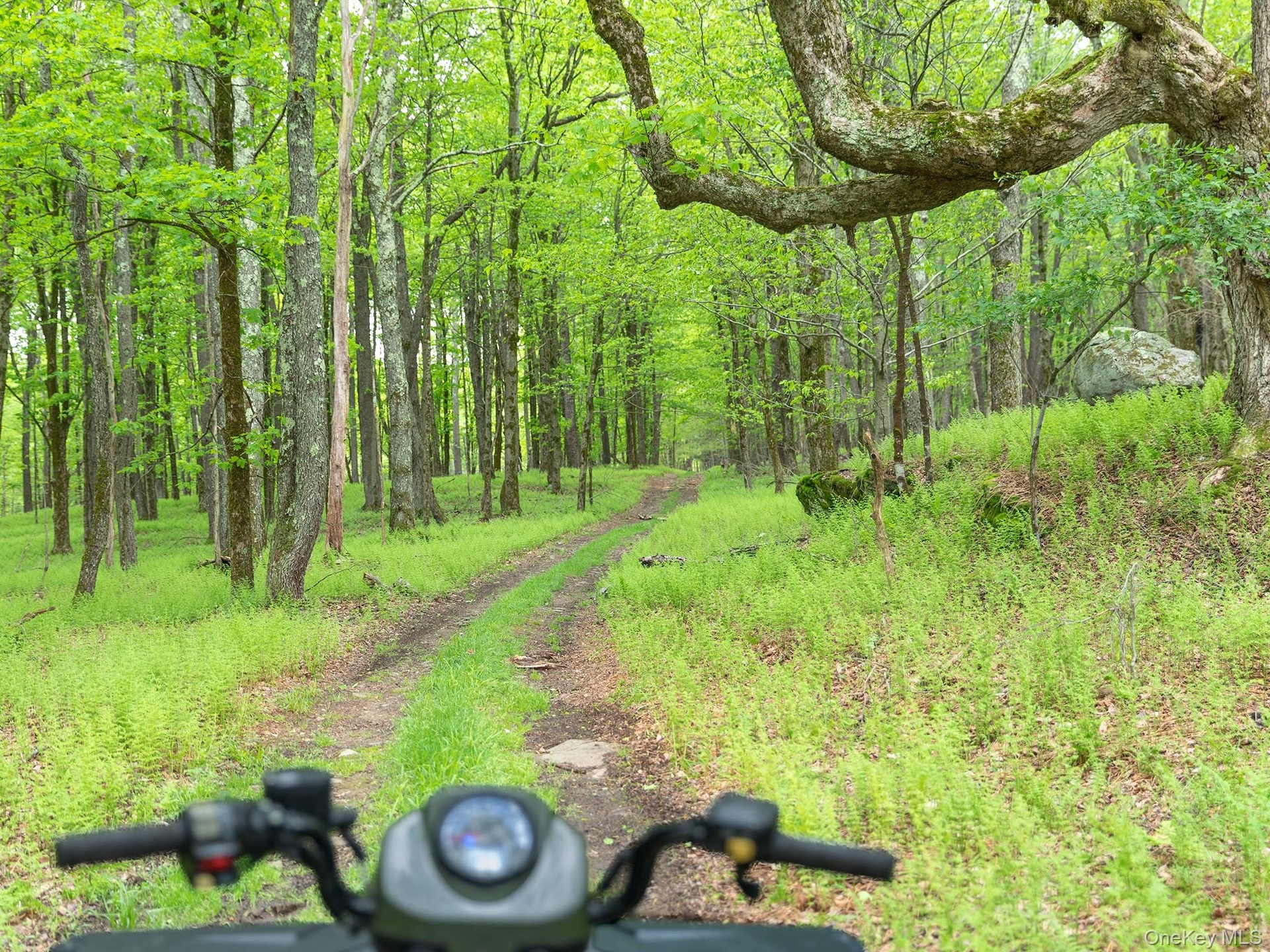 Perimeter trail