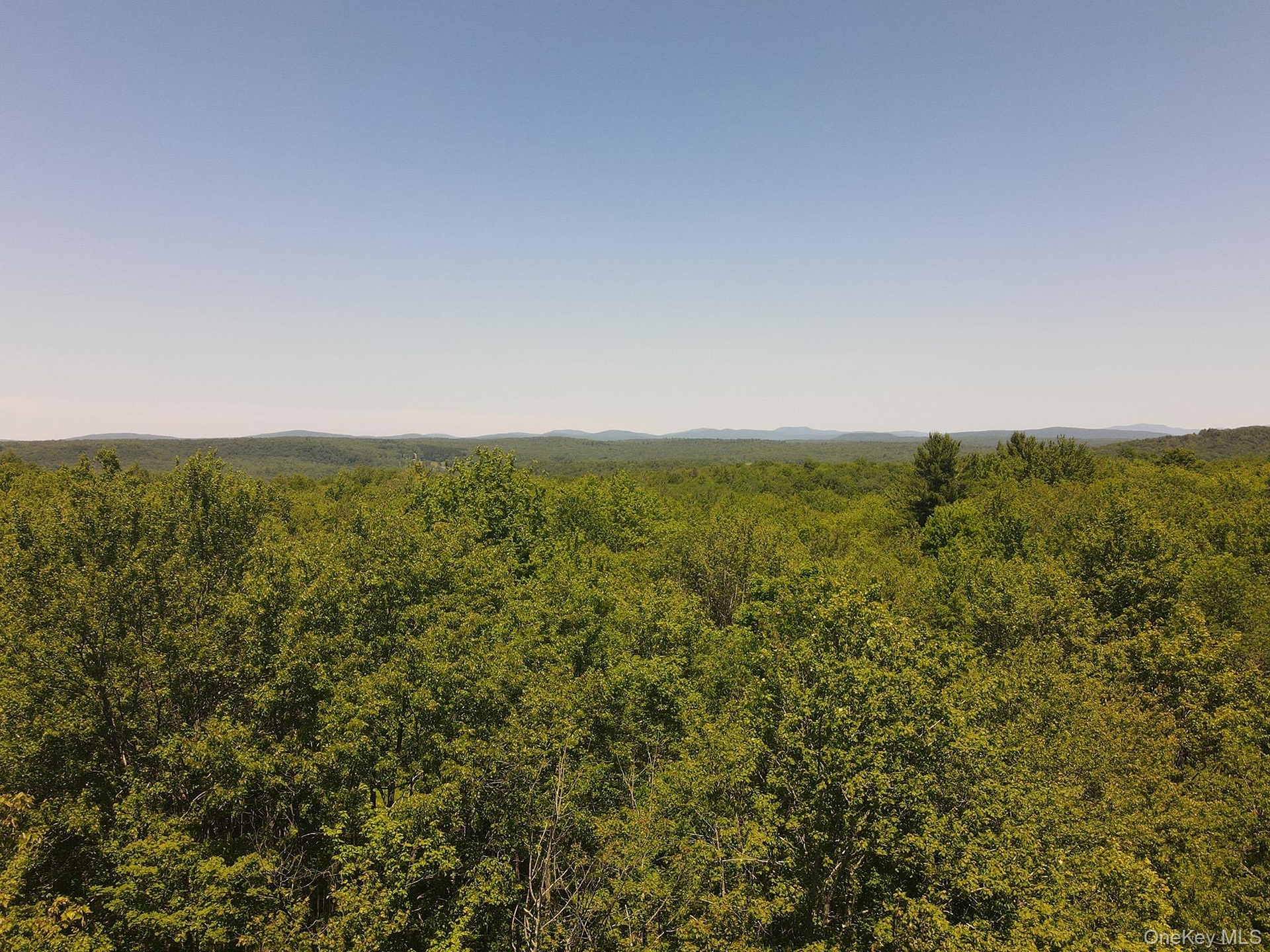 View of woods