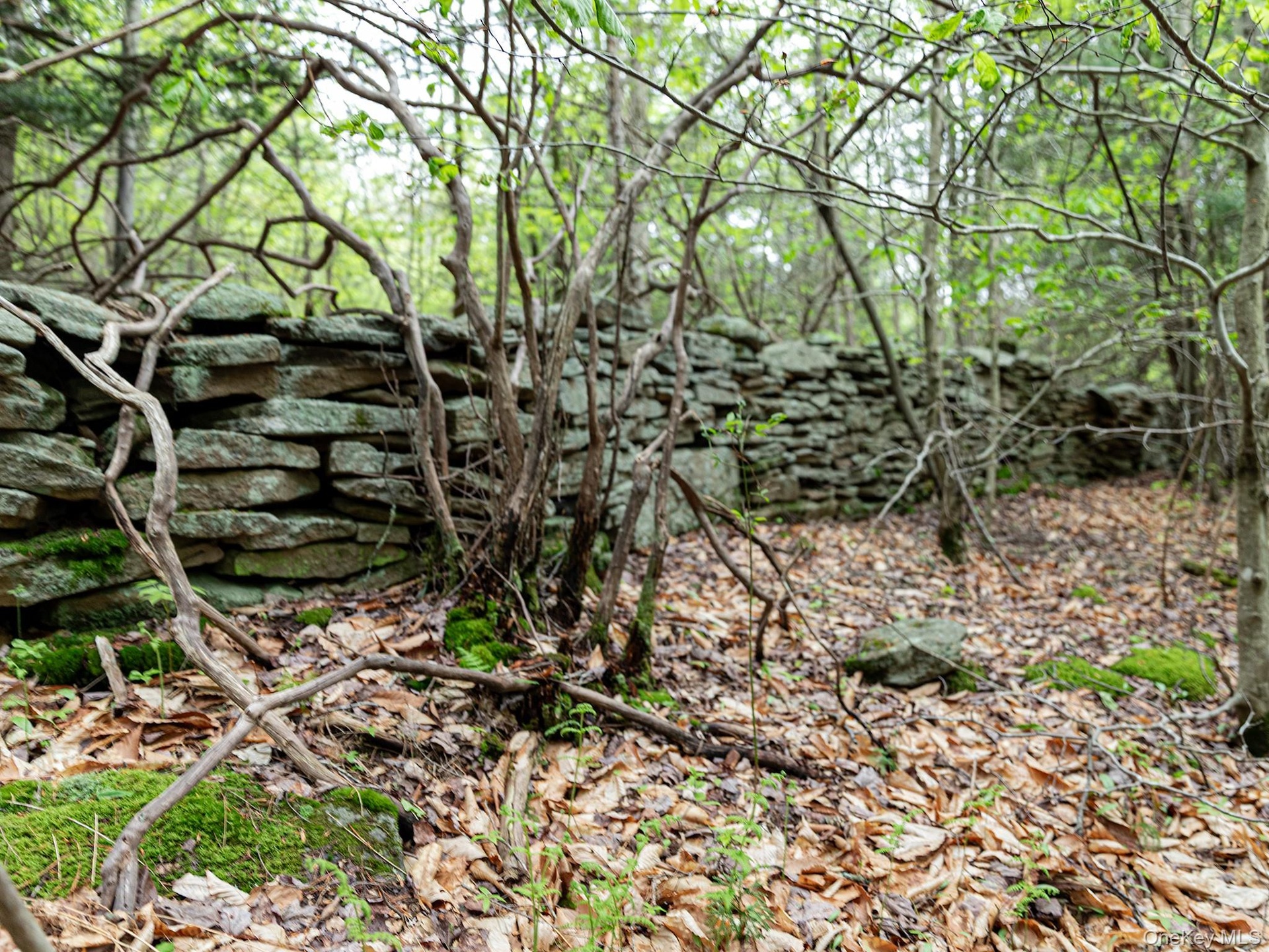 Stone Wall