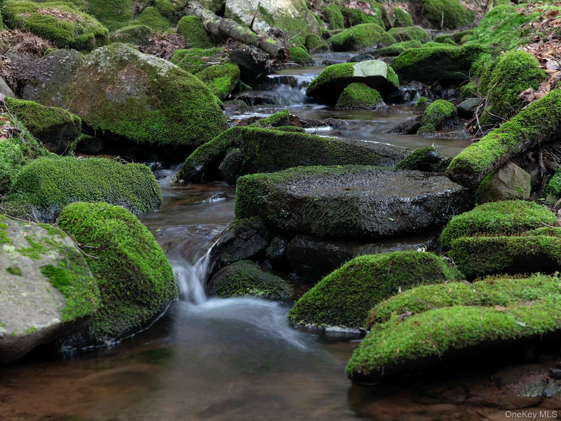 Stream Detail