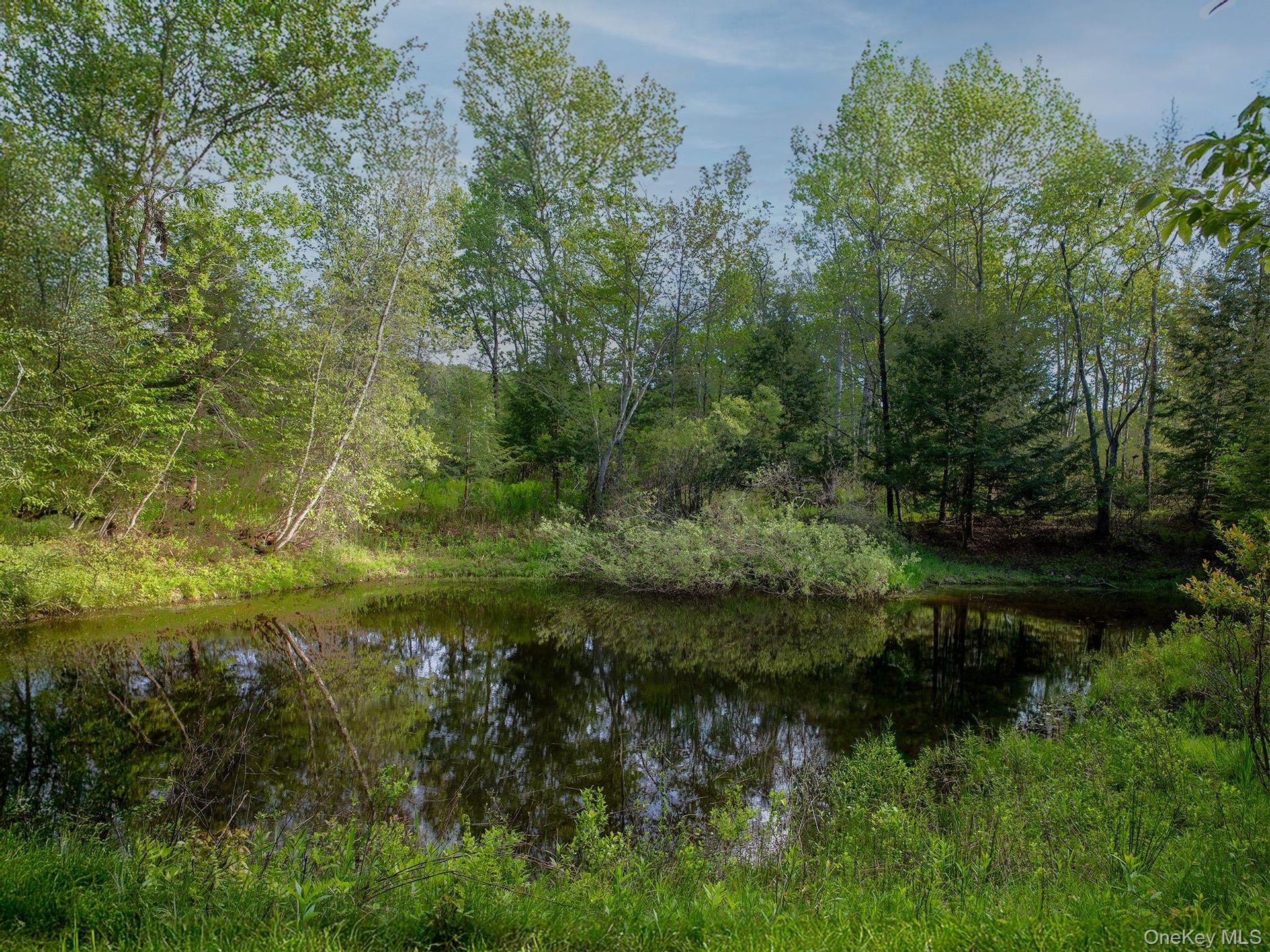 Pond View