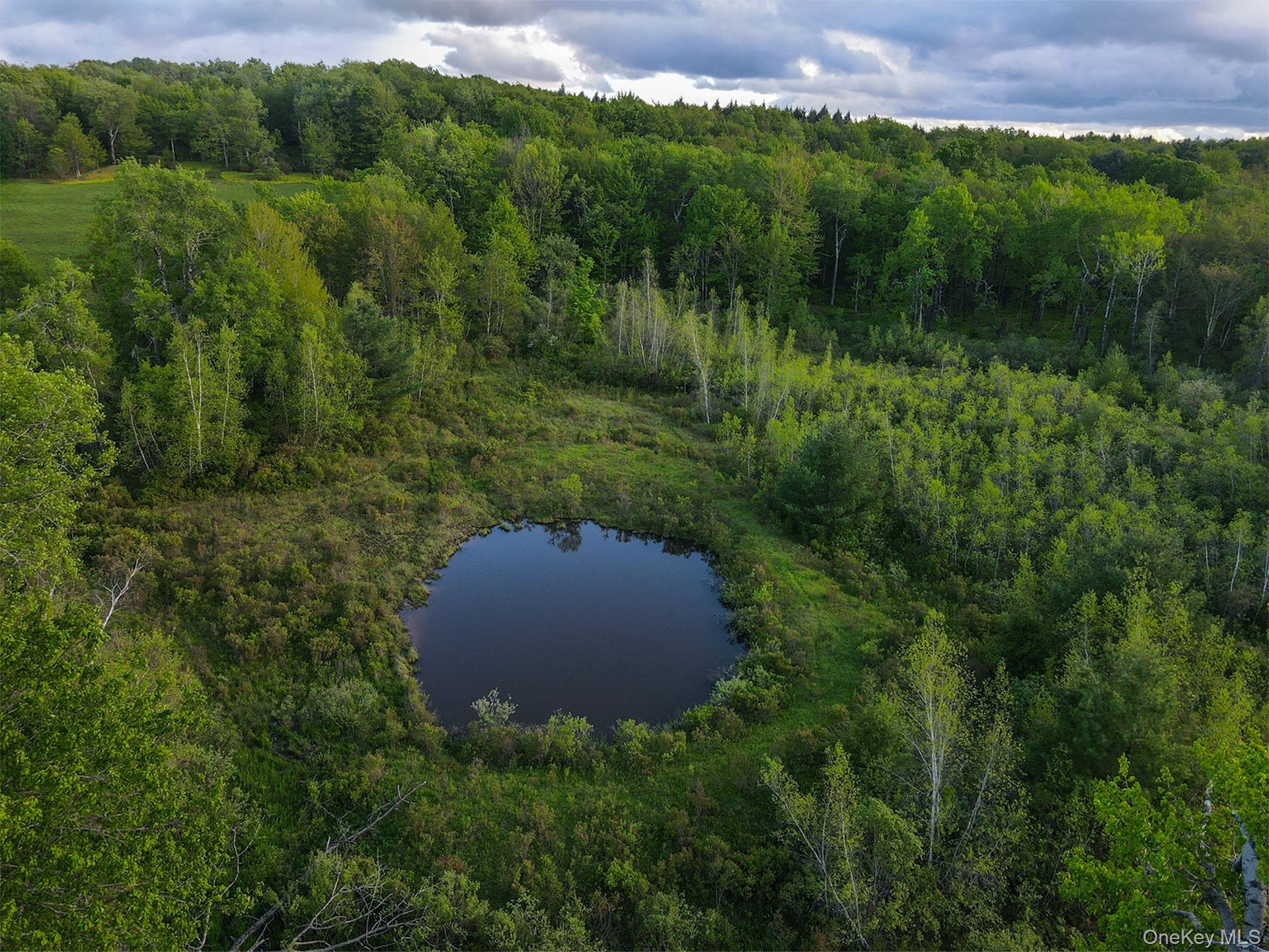 Large Pond