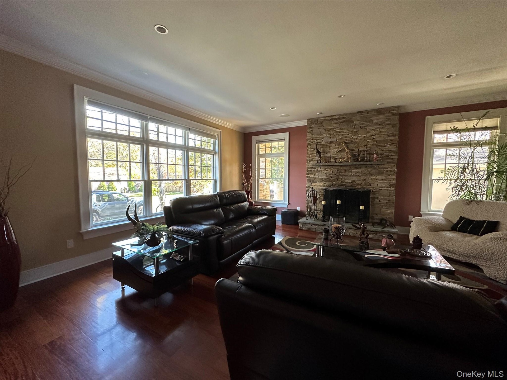 Living room featuring ornamental molding, wood finished floors, and a fireplace