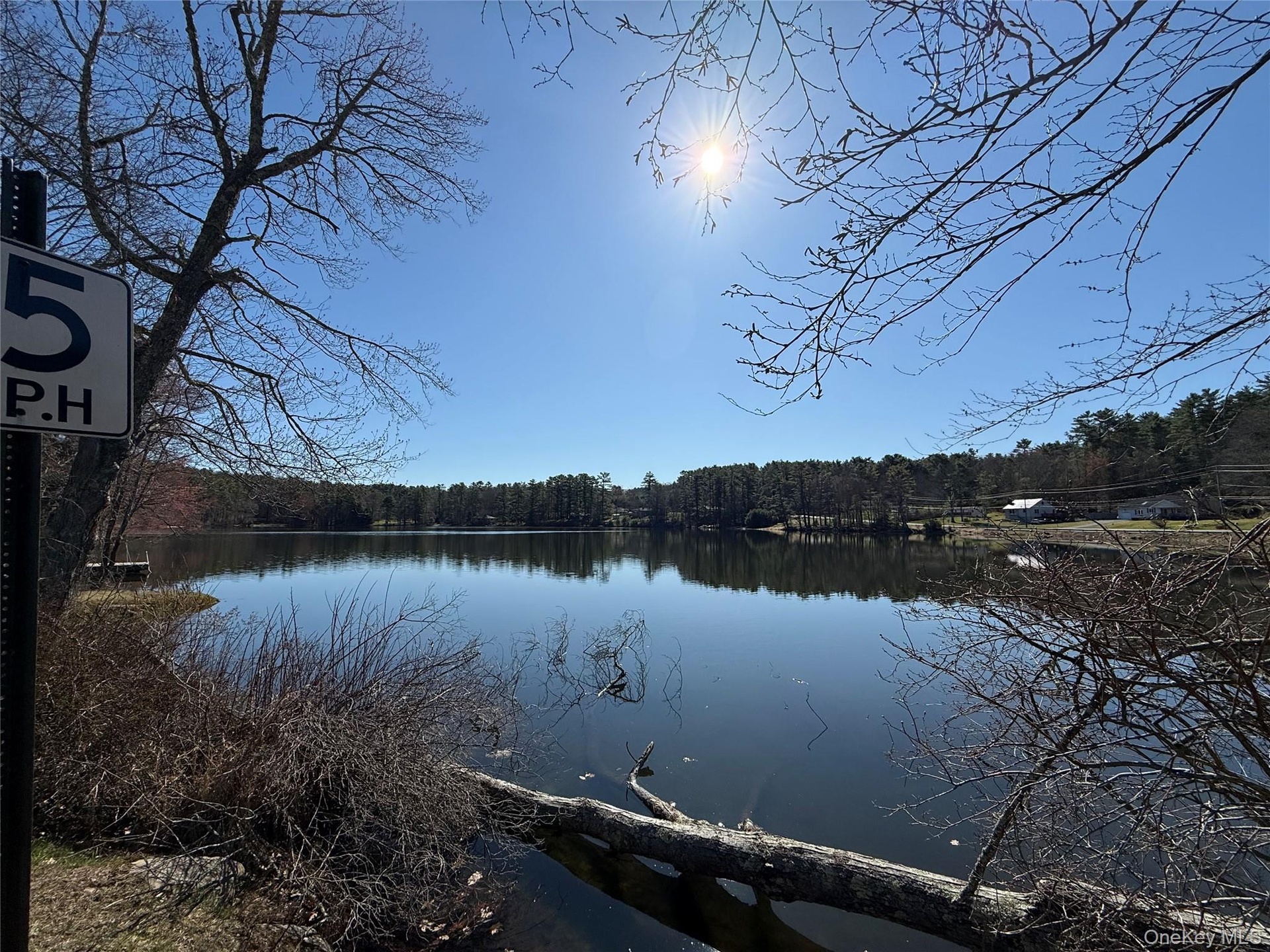 Bodine Lake