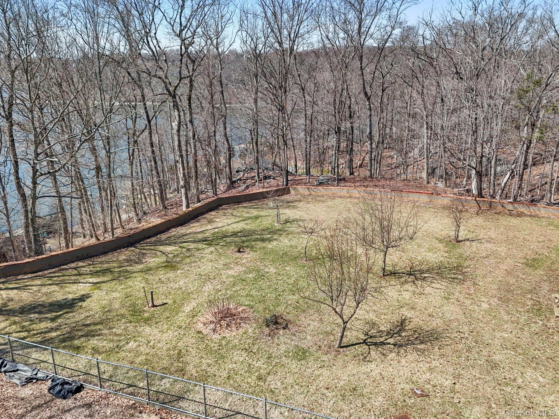 Back Yard Fruit Trees