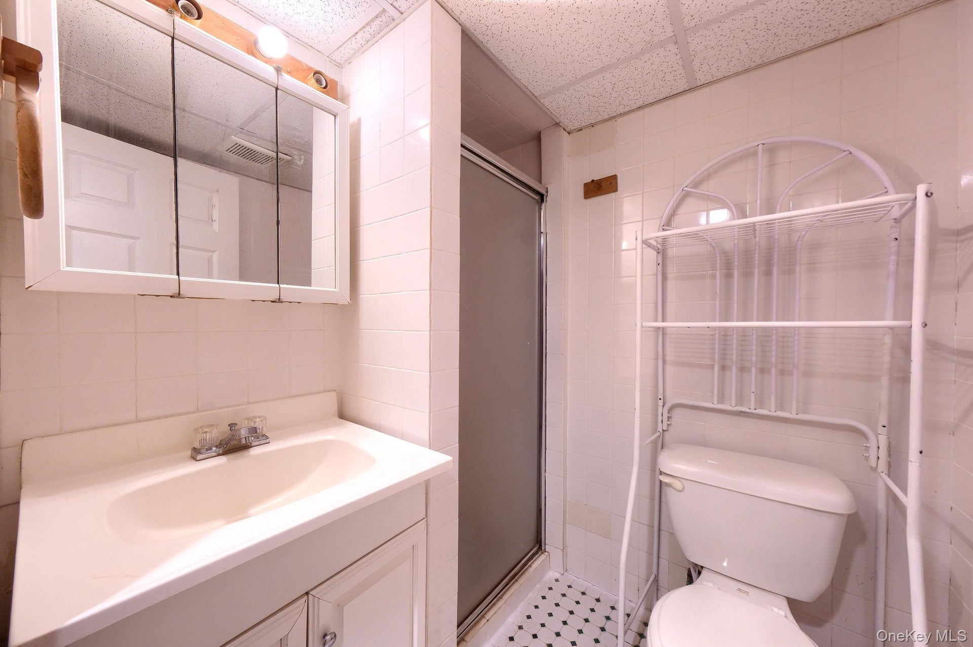Basement Bathroom