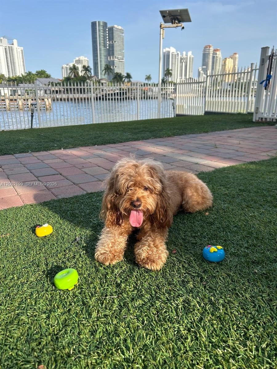 Dog park available on site