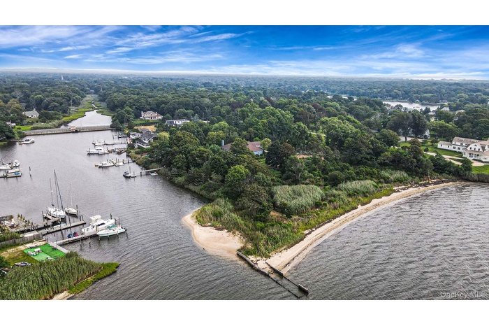 Birds eye view of property featuring a water view and a wooded view