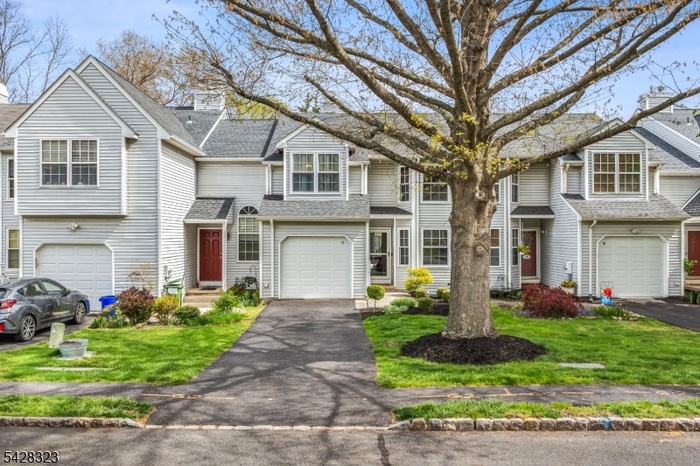 Front Ext