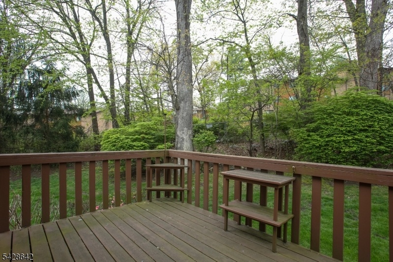 Rear Deck