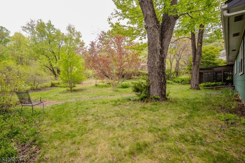 rear yard