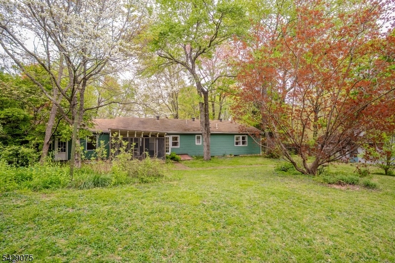 rear of house