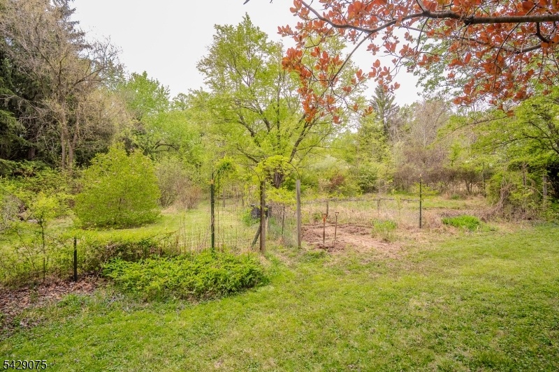 gardens