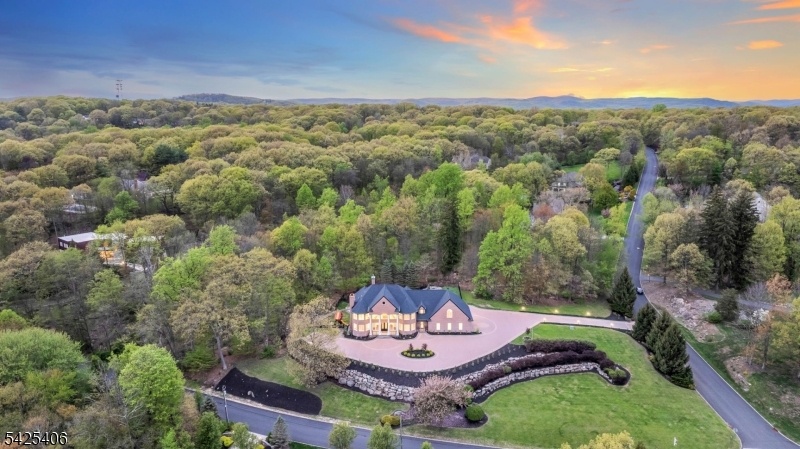 Aerial front view