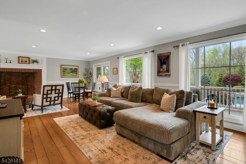Sun Drenched Living Room